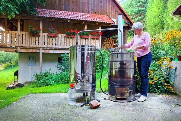 Spoznavanje zelišč ter njihova uporaba v vsakdanjem življenju