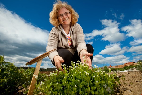 Sabina Grošelj