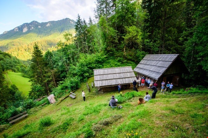 Festival zelišč Zgornje Savinjske in Šaleške doline 