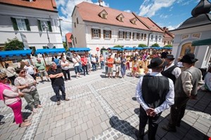 Festival zelišč Zgornje Savinjske in Šaleške doline 