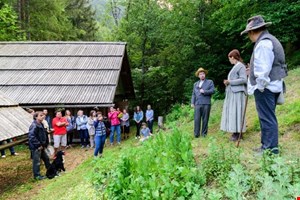 Festival zelišč Zgornje Savinjske in Šaleške doline 